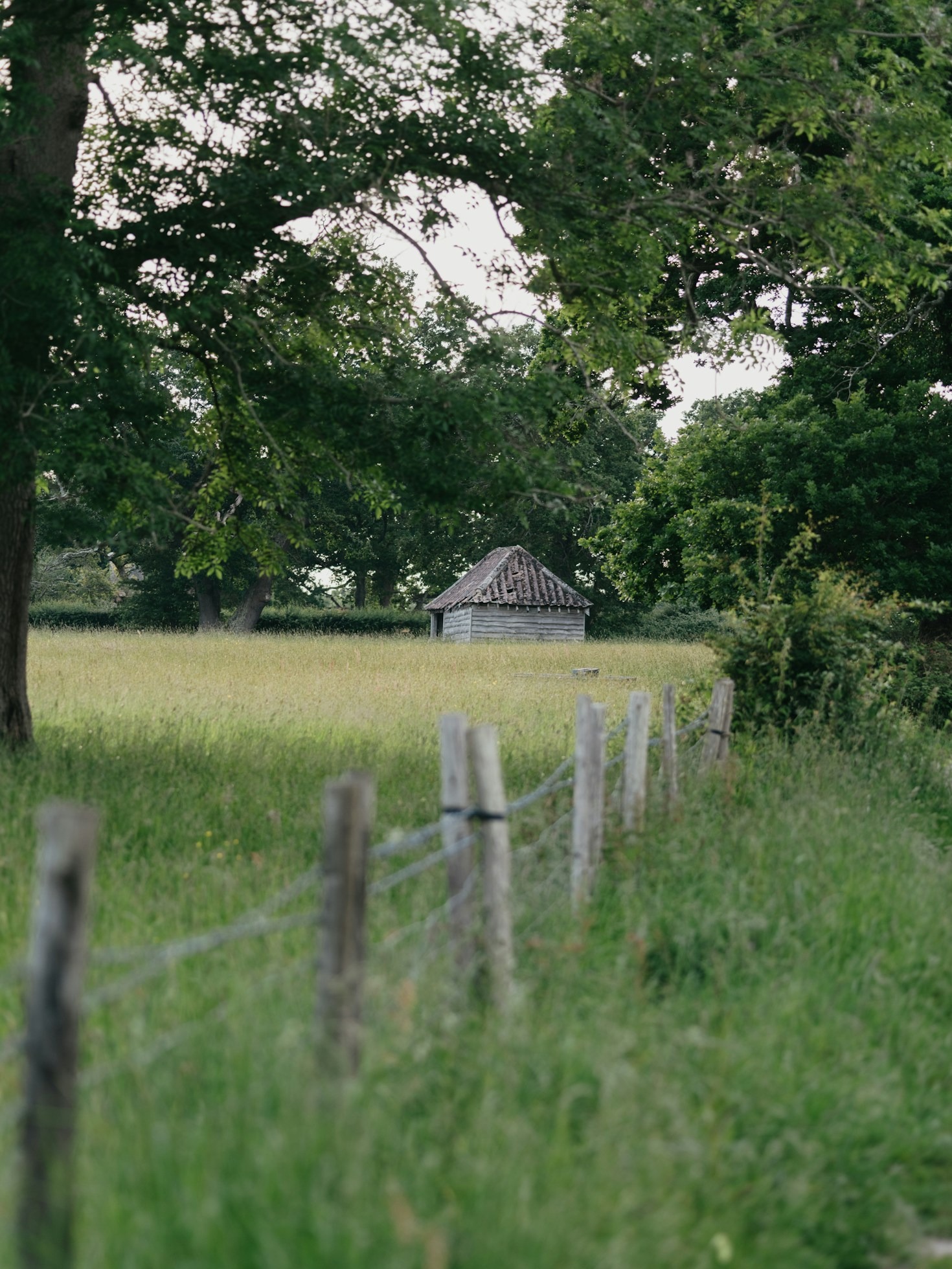 The Legacy of Faith in Family Farming