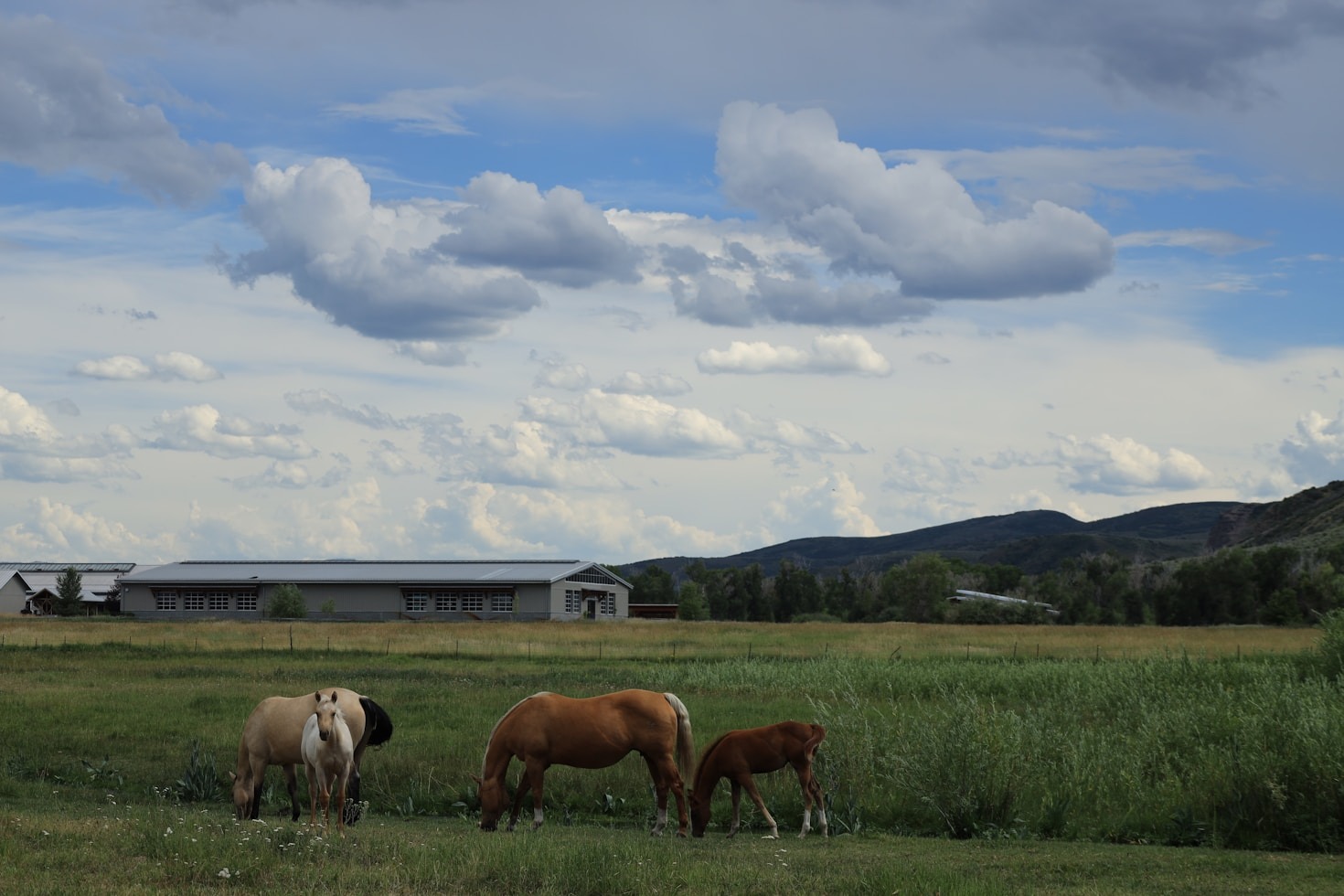 The Importance of Sustainable Practices in Family Farming